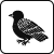 鳩紋:pigeon